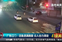 江门视频拍摄,镜头下的城市魅力掠影