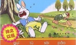 龟兔赛跑的故事视频,智慧与耐心的胜利之道